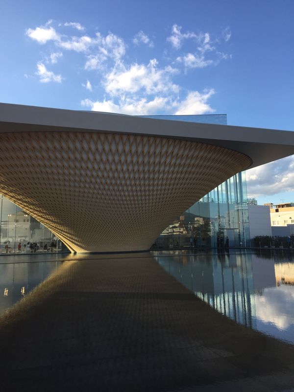 日本「「富士山世界遺産センター」」の写真：素晴らしい。富士山世界遺産センター‼️
