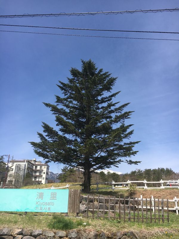 日本「Kiyosato, Japan」の写真