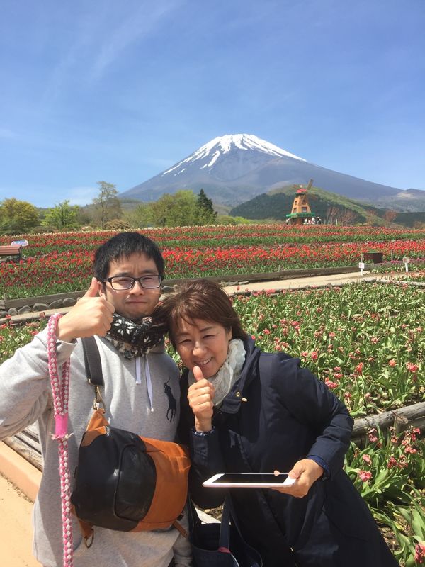 日本「「裾野市　ぐりんぱ」」の写真：裾野市ぐりんぱ　天空のチューリップ🌷