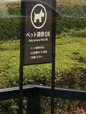 素晴らしい場所