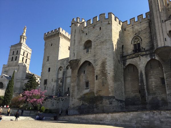 フランス「Avignon, Provence 2017」の写真