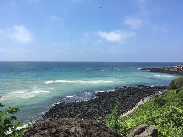 大韓民国 (韓国)「済州島」の写真