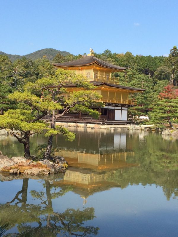 京都「京都」の写真