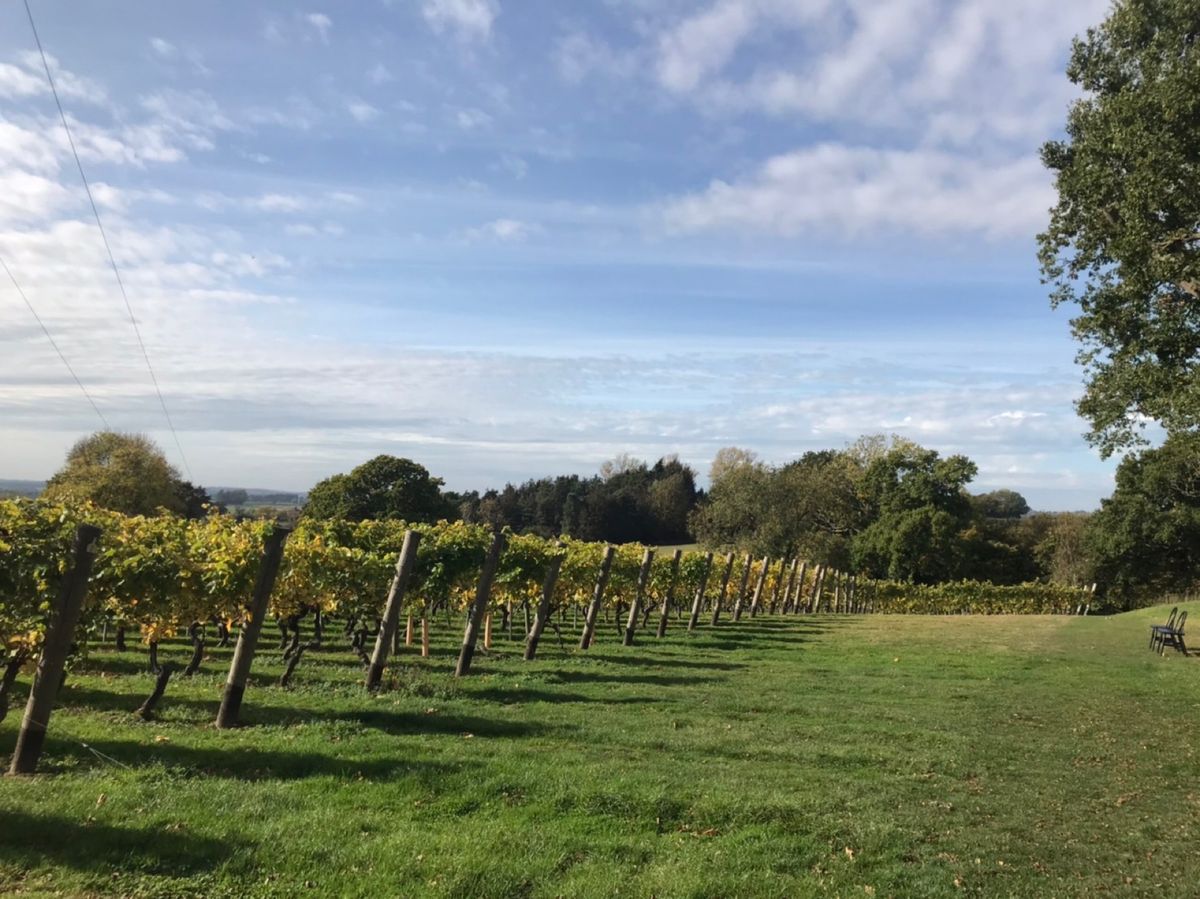 ✴︎レンタサイクルデビュー！以来ロンドンでの定番に
✴︎セブンシスターズで...