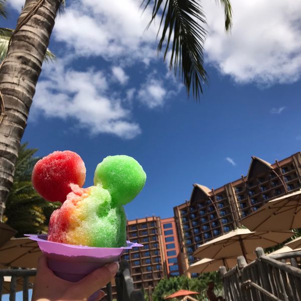 アメリカ(米国)・ハワイ「ハワイ✈︎ 家族旅行」の写真：✴︎アウラニのディズニーリゾートではプー...