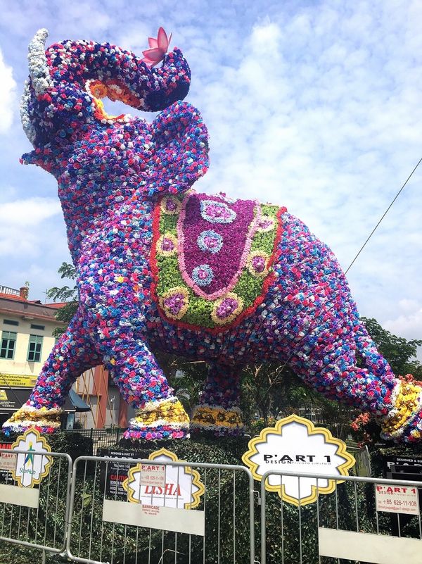 シンガポール「Singapore」の写真