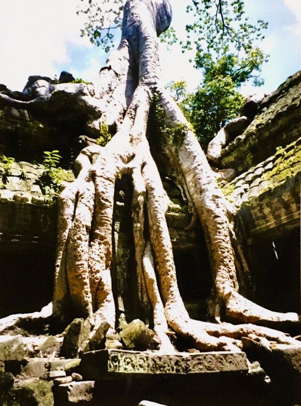 カンボジア・シェムリアップ「いつぞやのメコン国2」の写真