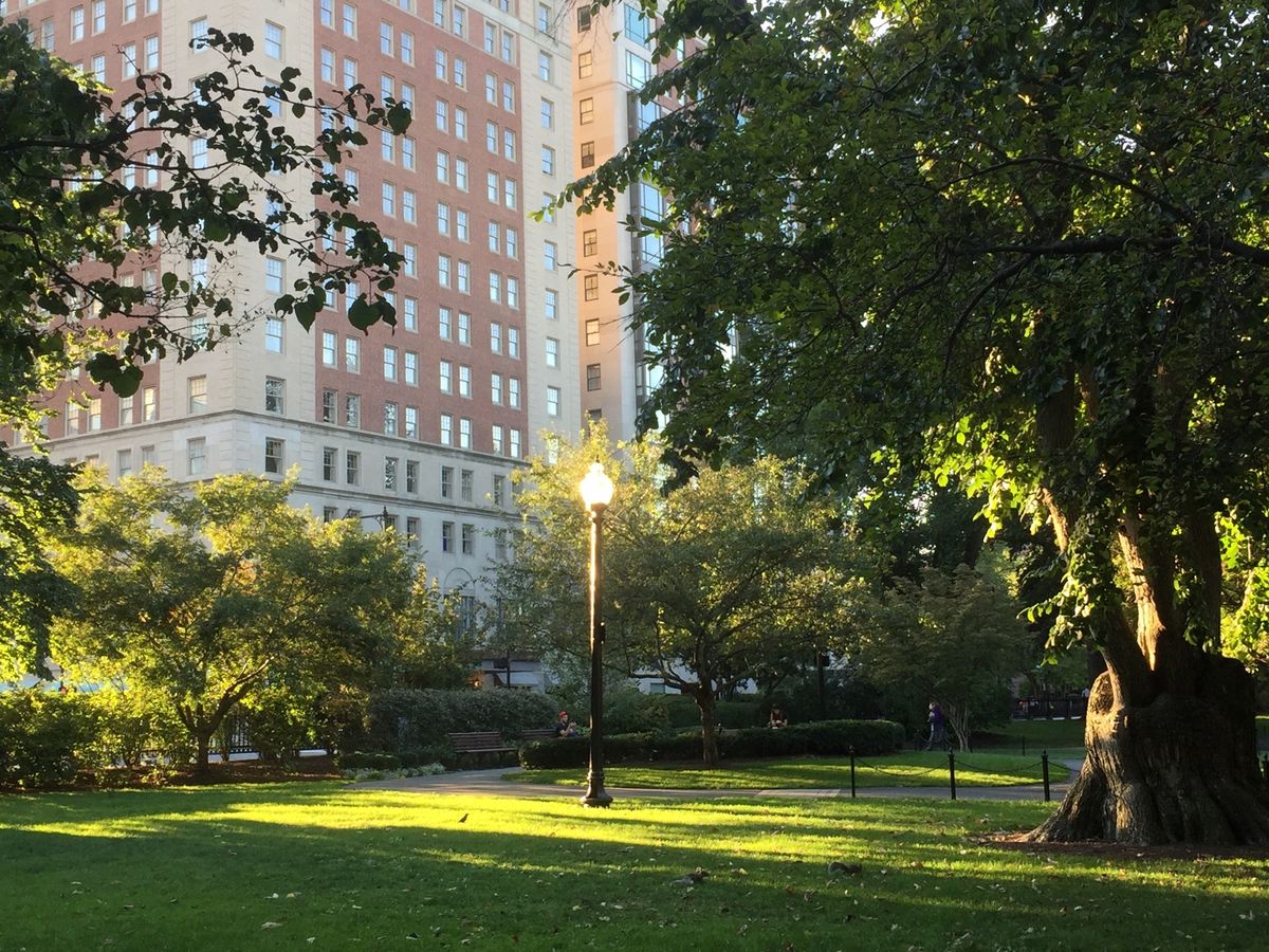 ✴︎NYの穴場観光は無料クルーズ
✴︎ベタだけどタイムズスクエアはテンショ...