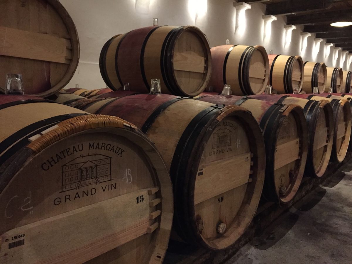 ✴︎特別に見せてもらったシャトーマルゴーのワイナリー
✴︎ラリューヌ登山鉄...