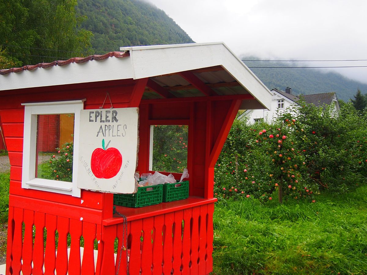 オスロから小さなプロペラ機と、それよりもっと小さいプロペラ機を乗り継いでた...