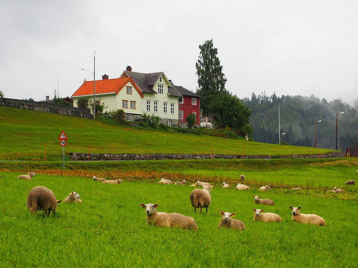 オスロから小さなプロペラ機と、それよりもっと小さいプロペラ機を乗り継いでた...