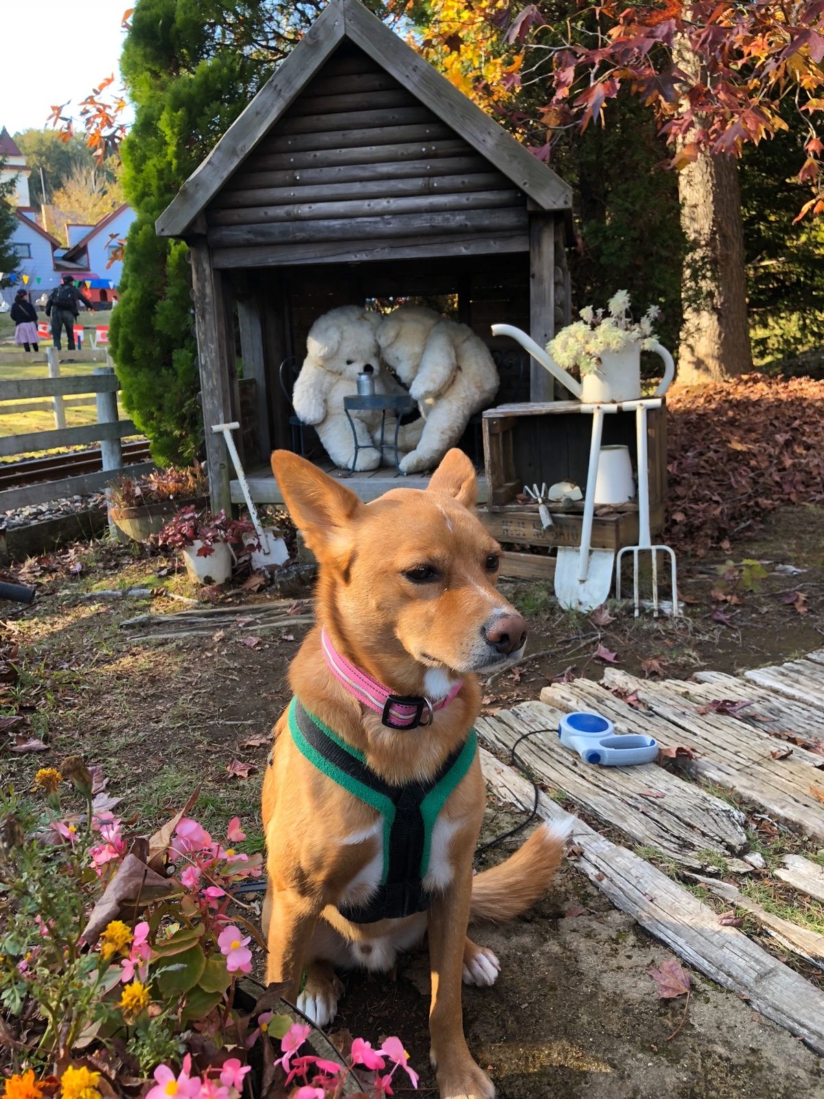 修善寺虹の郷も、Xmas準備。