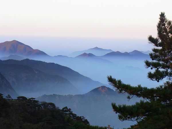 中国・黄山「中国安徽省　雲海に浮かぶ黄山」の写真：黄山はひとつの独立峰ではなく、数多くの山...