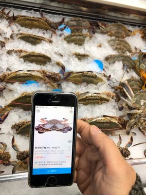 スマホをかざせば、調理法まで指南‼️