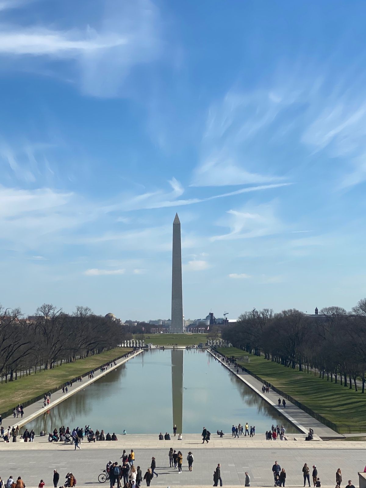 フォレストガンプはいなかった....