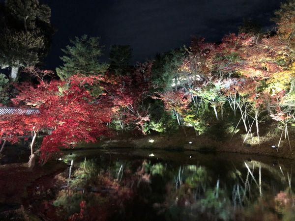 日本「京都の秋」の写真