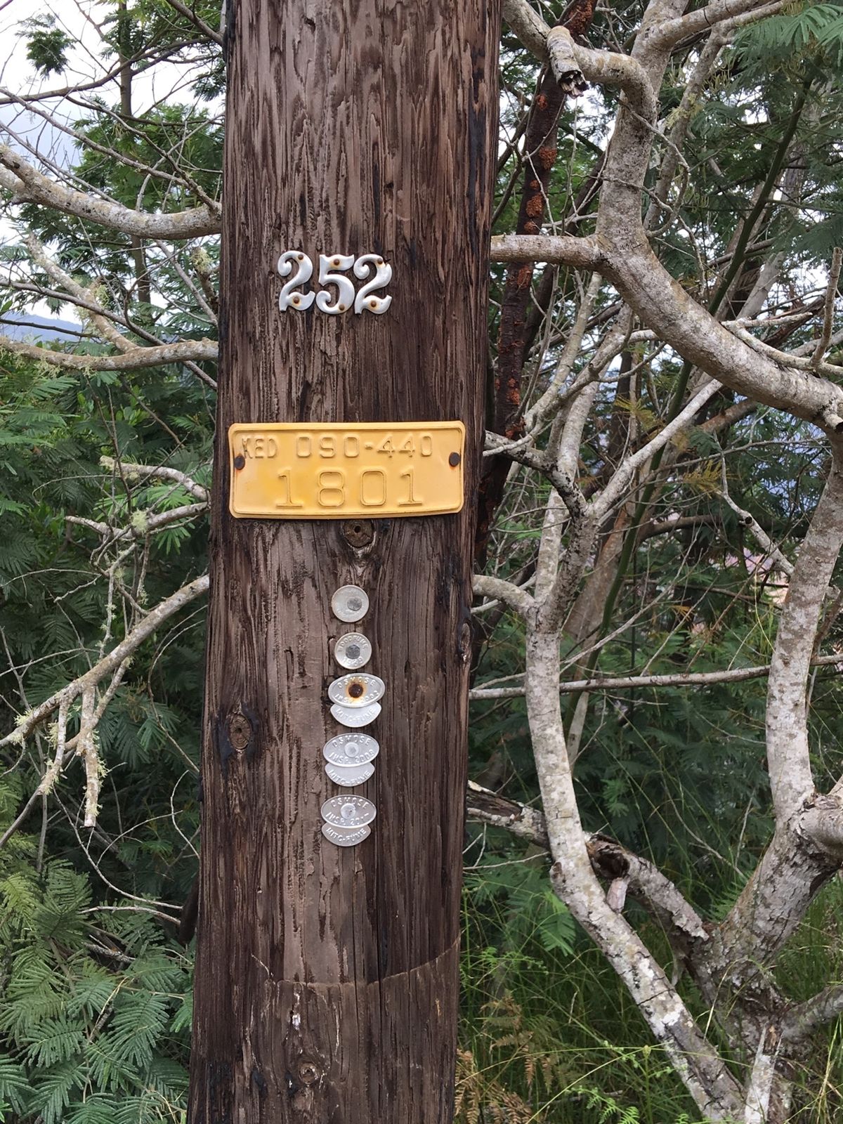 太古からこのままなんだろうな。
ダイナミックな渓谷、ナパリ展望台、木の電信...