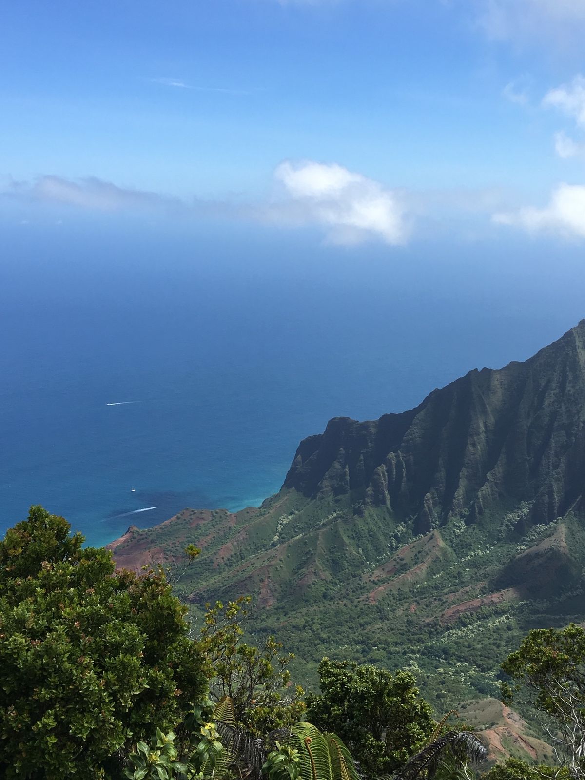 太古からこのままなんだろうな。
ダイナミックな渓谷、ナパリ展望台、木の電信...