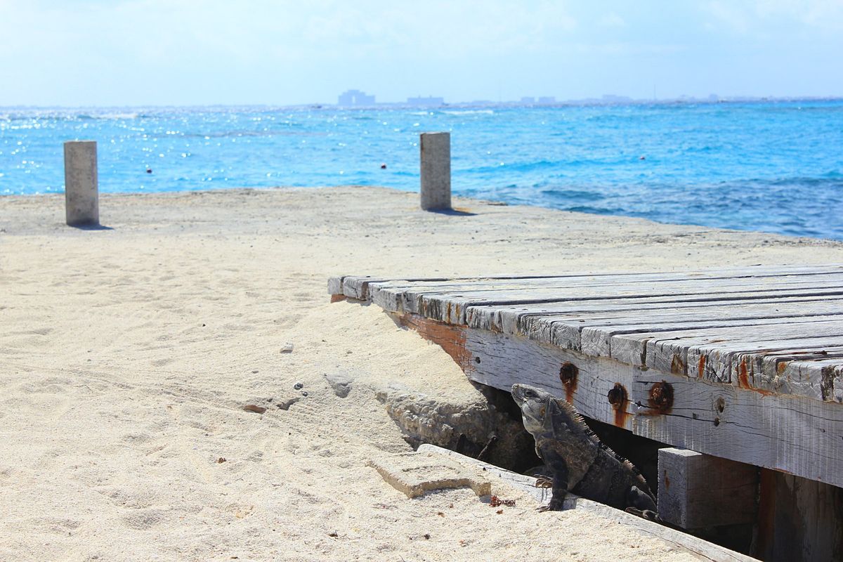 カンクンから日帰りで訪れたイスラムへーレス
カンクンの海も青くて美しいです...
