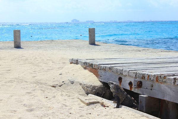 メキシコ・カンクン「メキシコ　イスラムへーレスの海は今までで一番青かった」の写真：カンクンから日帰りで訪れたイスラムへーレ...