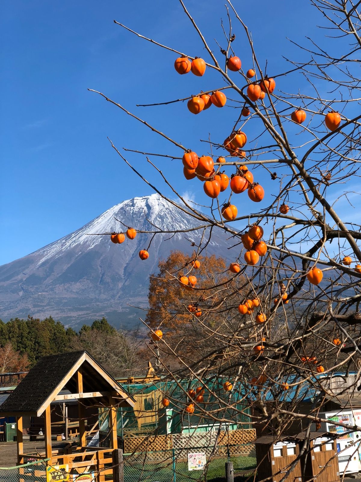 手ぶらでBBQ🍖できます。
