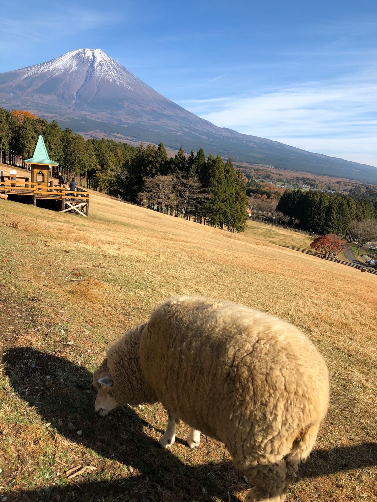 手ぶらでBBQ🍖できます。