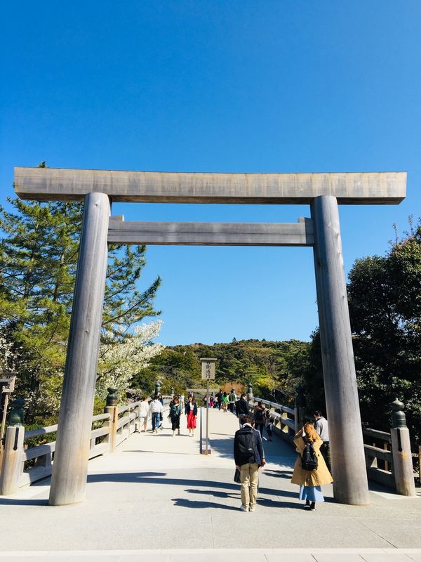 日本「伊勢神宮🌸」の写真