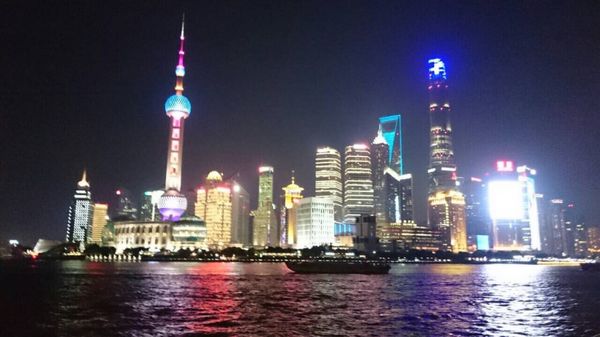 中国「2016 中国」の写真：上海1人旅
