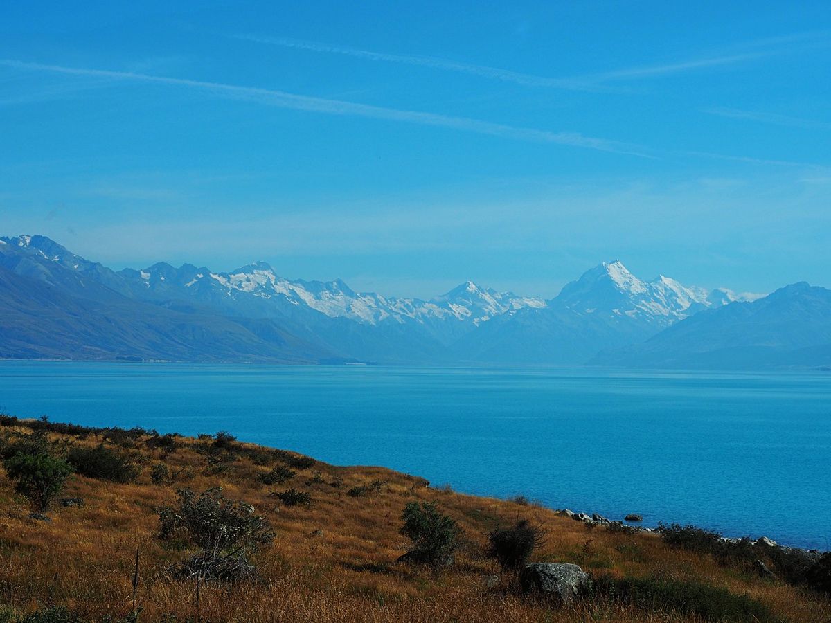 レイクテカポ
夜空の星も、昼間の晴天と湖の青さも美しい湖畔
羊飼いの教会も有名