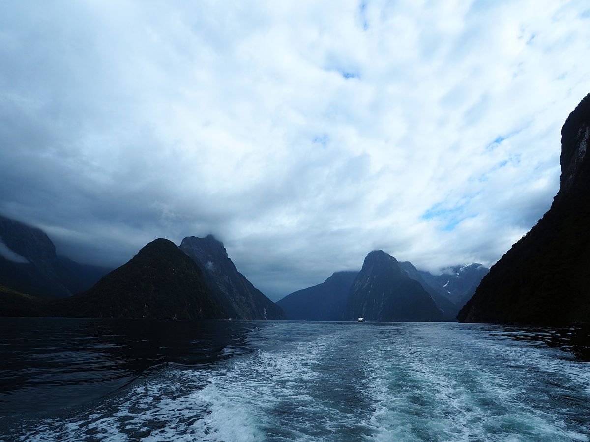 ミルフォードサウンド
氷河が大地を削って作ったフィヨルドで、数時間のクルー...