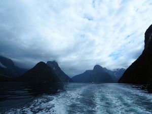 ミルフォードサウンド
氷河が大地を削って作ったフィヨルドで、数時間のクルー...