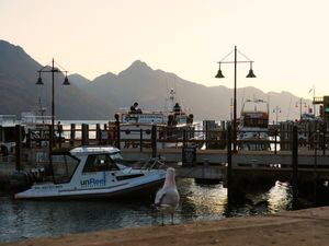 クイーンズタウン
ワカティプ湖を望むこの街は明るい雰囲気で、観光客にも大...