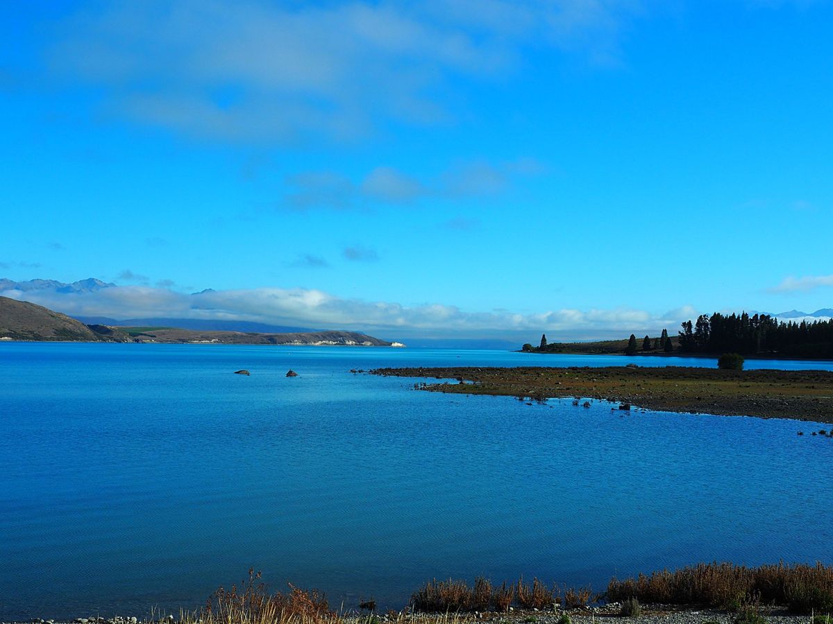 レイクテカポ
夜空の星も、昼間の晴天と湖の青さも美しい湖畔
羊飼いの教会も有名