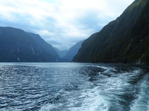 ミルフォードサウンド
氷河が大地を削って作ったフィヨルドで、数時間のクルー...