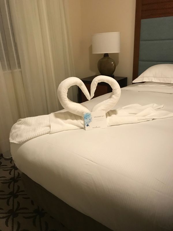 アメリカ(米国)・ハワイ島「アメリカ家族旅行」の写真：キングスランド