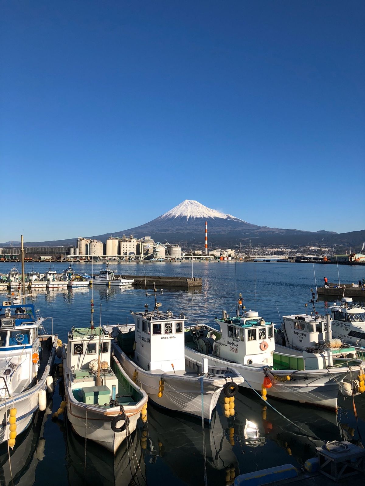 パワーをいただきました！