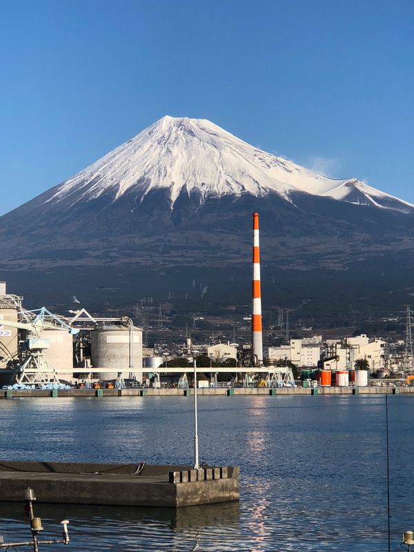 日本「「富士市田子の浦　みなと公園」」の写真：パワーをいただきました！