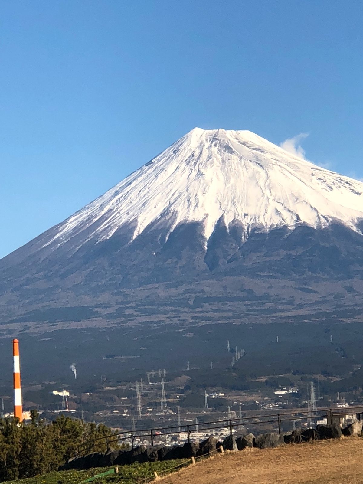 パワーをいただきました！