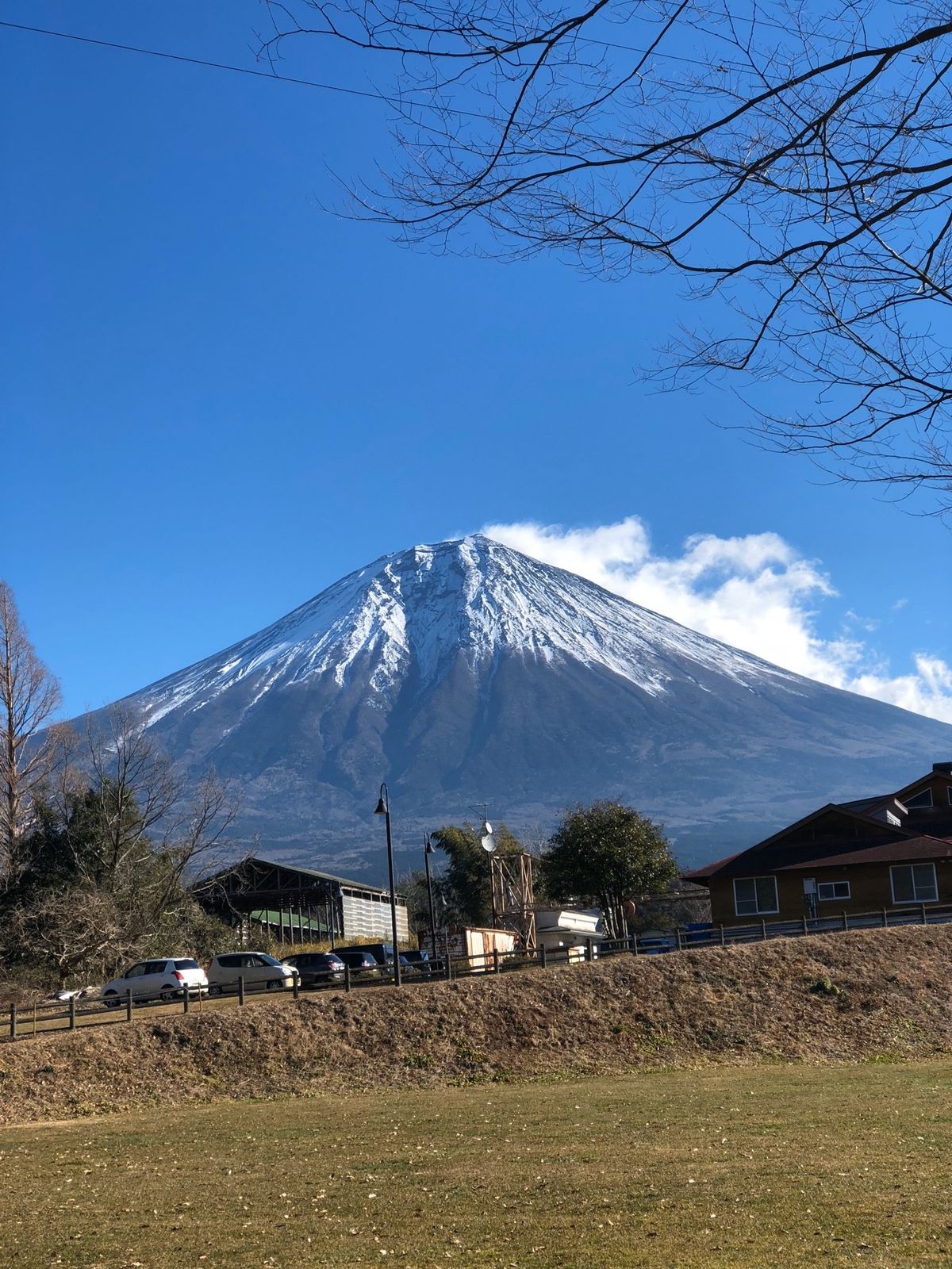 朝日を浴びる犬🐕２匹！