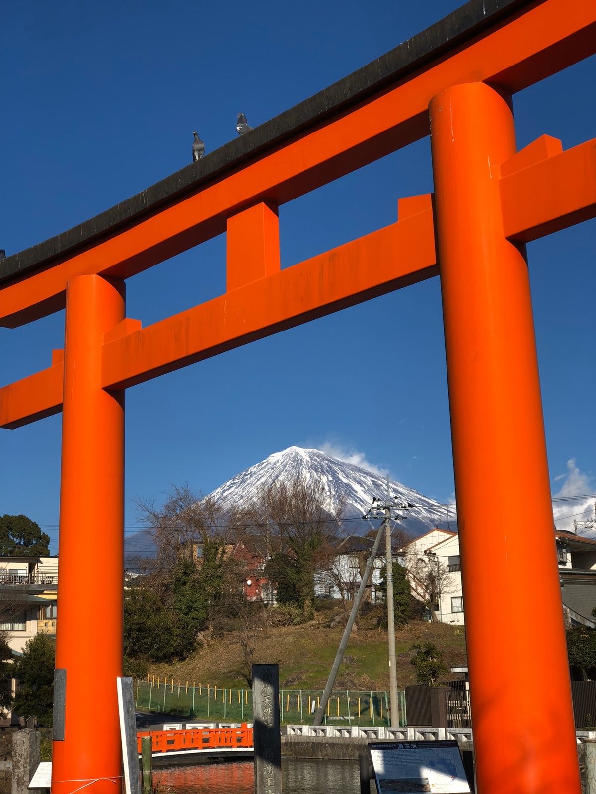 お宮横丁で、富士宮焼きそばをいただきました！