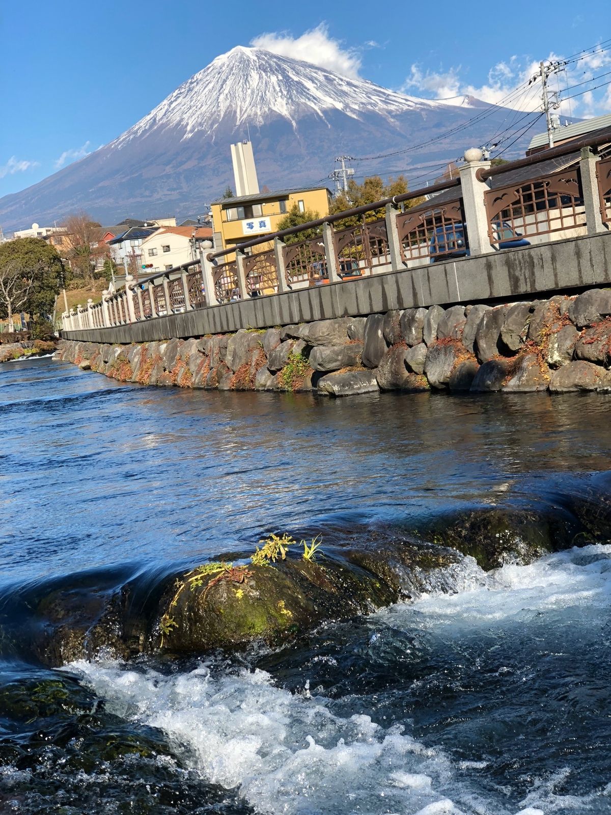 お宮横丁で、富士宮焼きそばをいただきました！