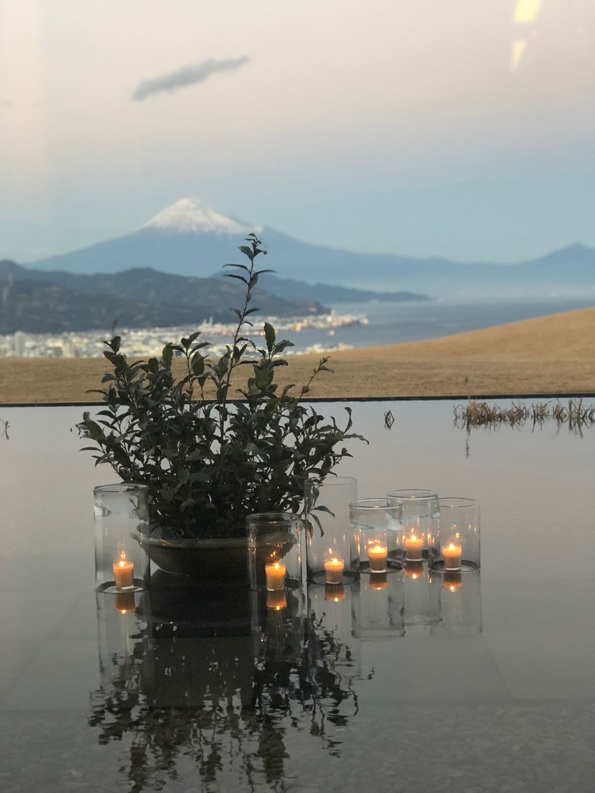 茶事変、胎動‼️