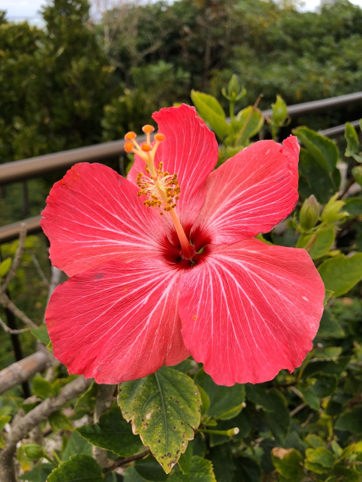 親子４世代沖縄旅行