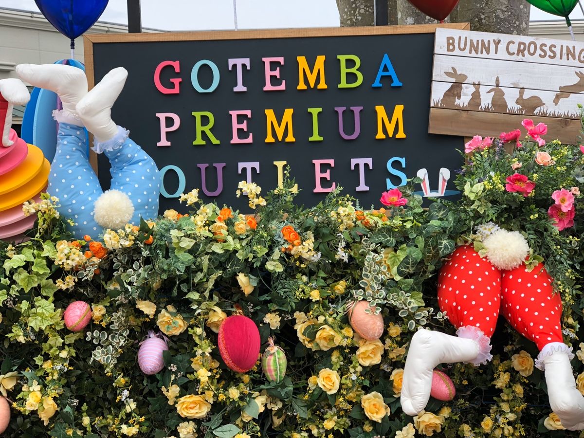 ワクワク感たっぷり‼️