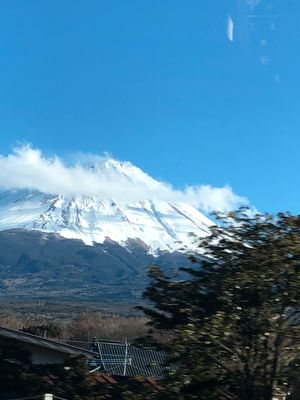 立派な施設です。