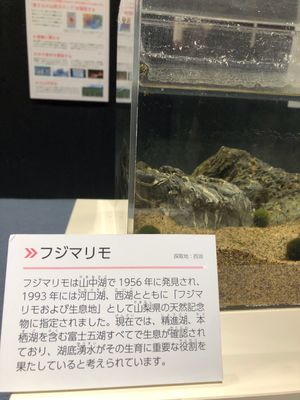 立派な施設です。