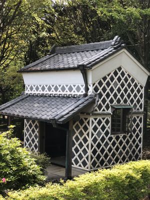 天気も良く、緑がキレイ❣️