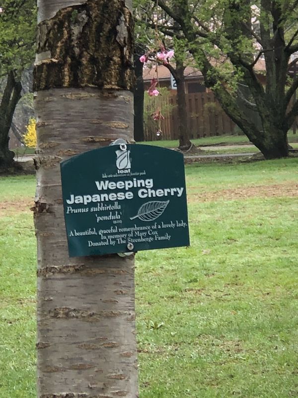 アメリカ(米国)「「アメリカ旅行　ERIEの公園③」」の写真：自然がいっぱい