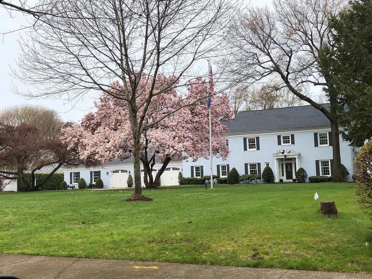 自然がいっぱい