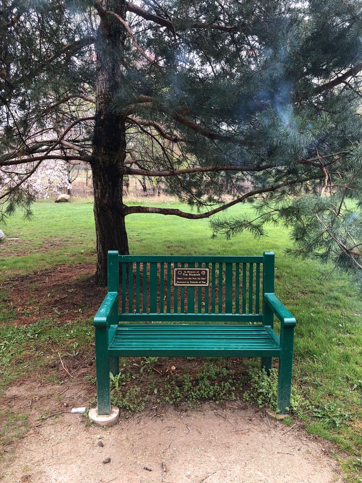 自然がいっぱい